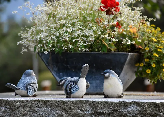 ゲストハウス Hirzingerhof