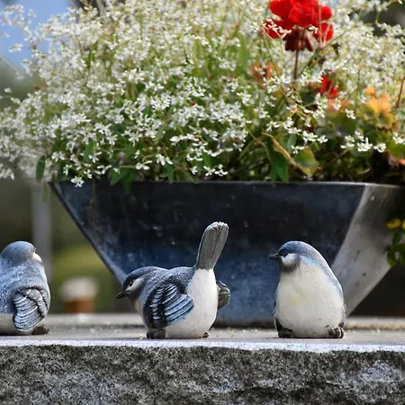Gæstehus Hirzingerhof