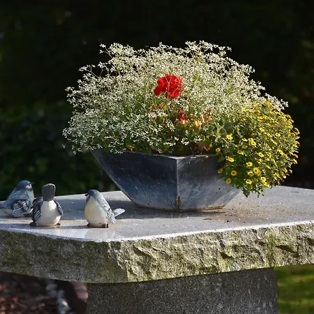 Gasthuis Hirzingerhof 3*